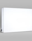 Vertical projecting light box sign for high visibility storefront advertising