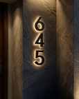 Solar House Number Light – Self-Charging, No Wiring