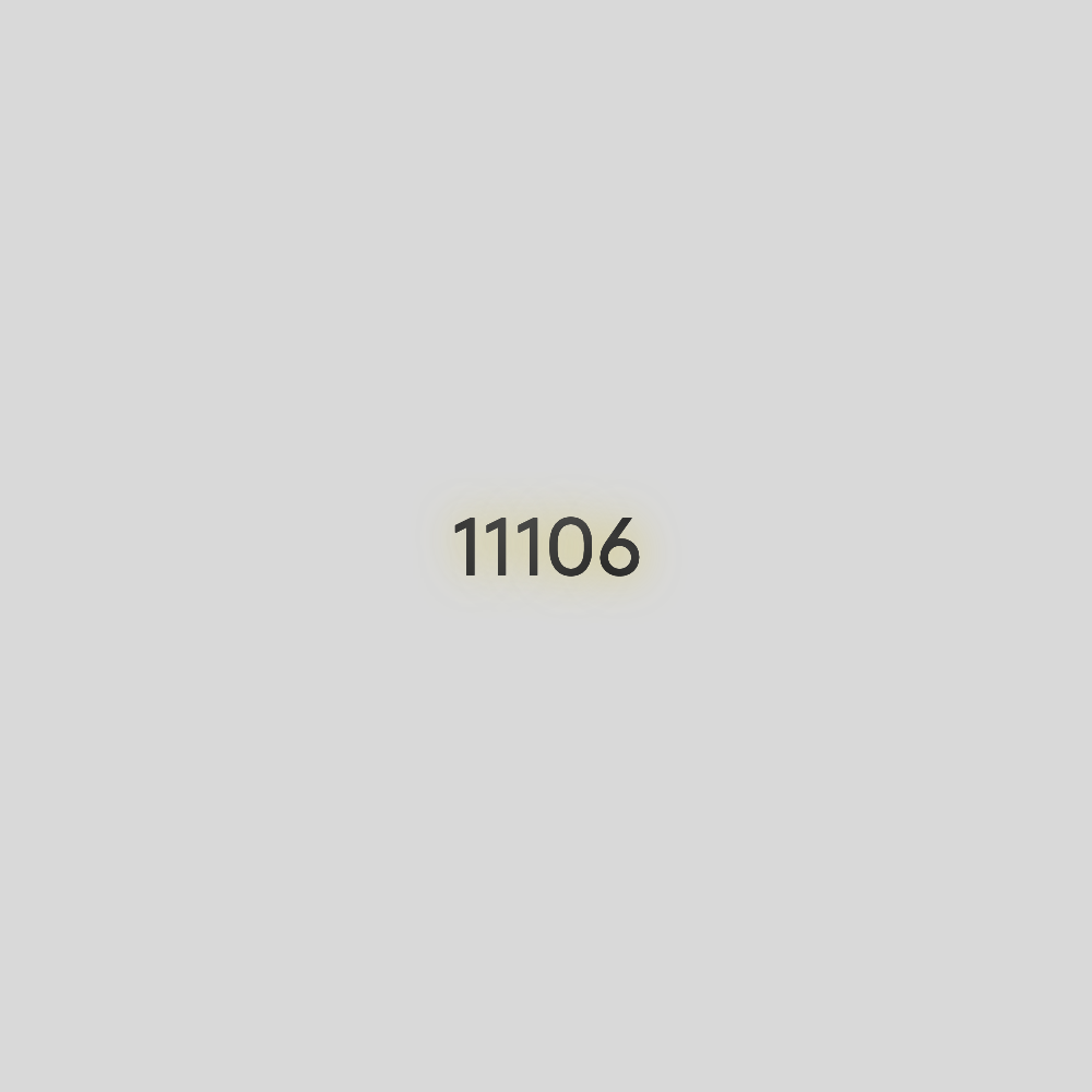 Your Address 11106